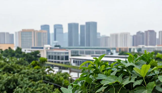 信息匹配如何影响企业名录查询结果